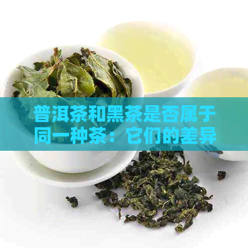 普洱茶和黑茶是否属于同一种茶：它们的差异与功效