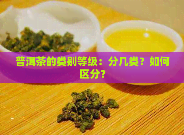 普洱茶的类别等级：分几类？如何区分？