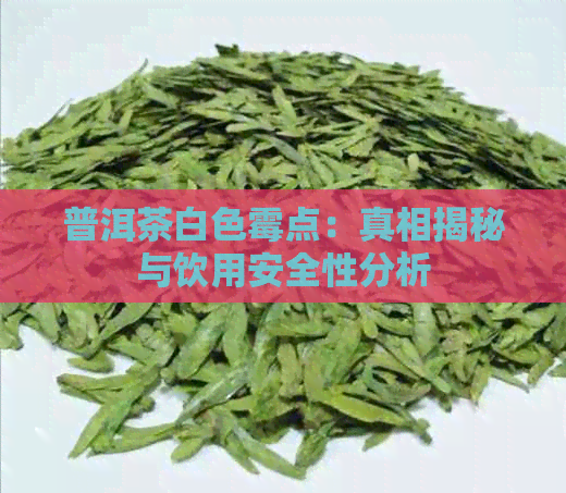 普洱茶白色霉点：真相揭秘与饮用安全性分析