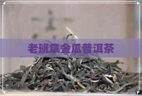 老班章金瓜普洱茶