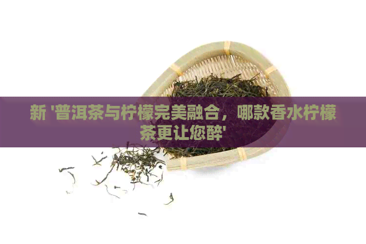 新 '普洱茶与柠檬完美融合，哪款香水柠檬茶更让您醉'