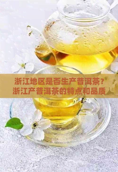 浙江地区是否生产普洱茶？浙江产普洱茶的特点和品质如何？