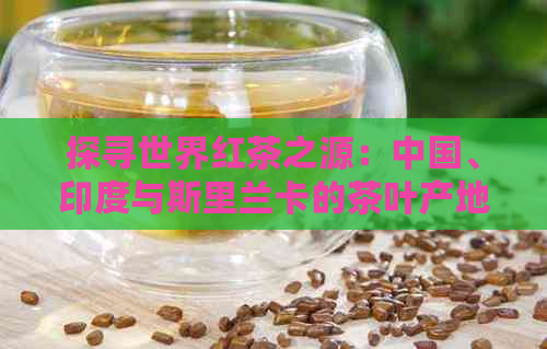 探寻世界红茶之源：中国、印度与斯里兰卡的茶叶产地与风味比较