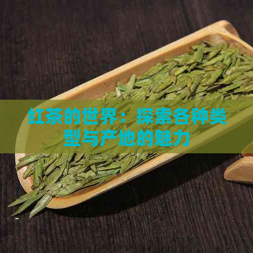 红茶的世界：探索各种类型与产地的魅力