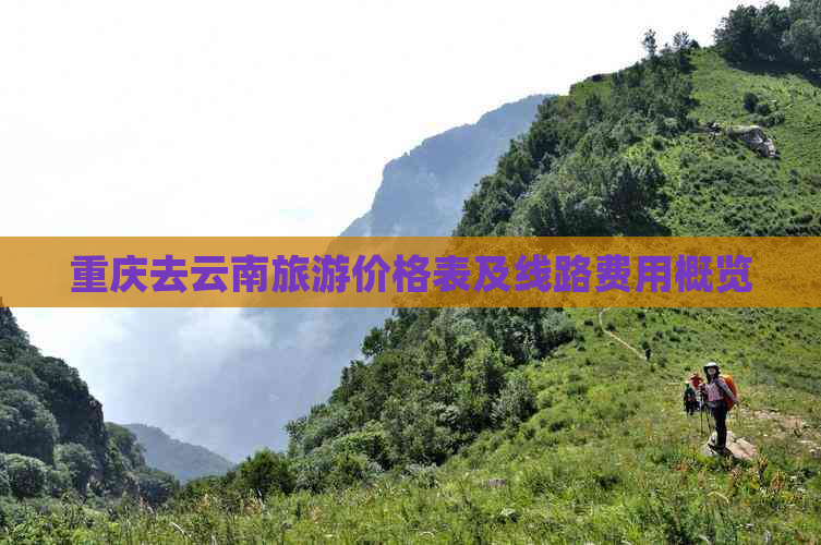 重庆去云南旅游价格表及线路费用概览