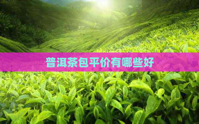 普洱茶包平价有哪些好