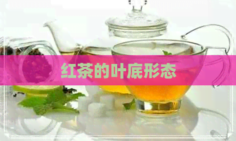 红茶的叶底形态