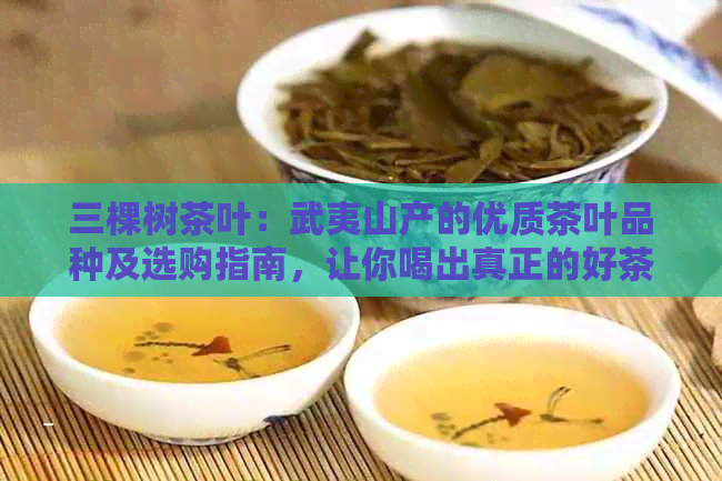 三棵树茶叶：武夷山产的优质茶叶品种及选购指南，让你喝出真正的好茶！