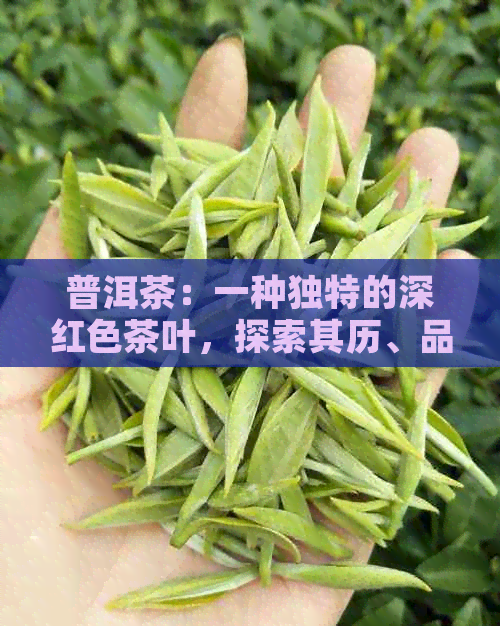 普洱茶：一种独特的深红色茶叶，探索其历、品种和品饮方法