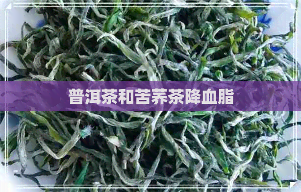 普洱茶和苦荞茶降血脂