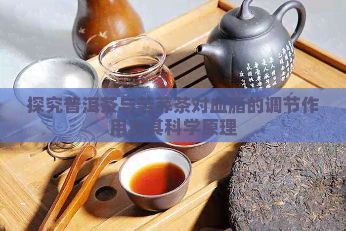 探究普洱茶与苦荞茶对血脂的调节作用及其科学原理