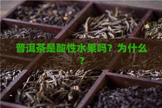 普洱茶是酸性水果吗？为什么？