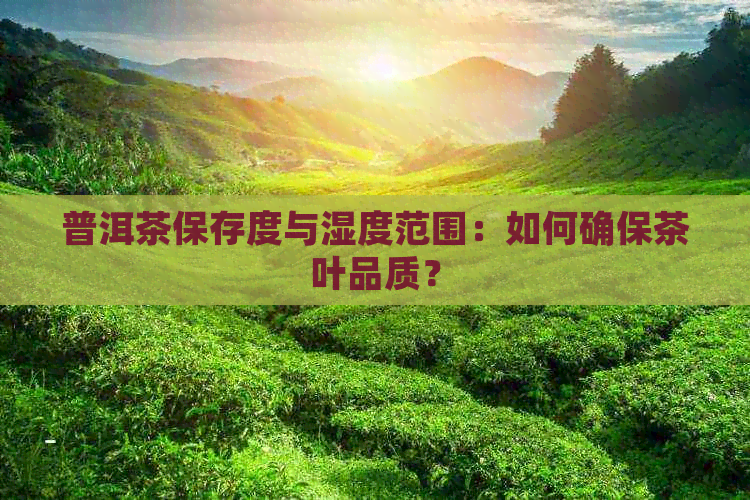 普洱茶保存度与湿度范围：如何确保茶叶品质？