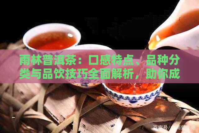 雨林普洱茶：口感特点、品种分类与品饮技巧全面解析，助你成为专业鉴家！