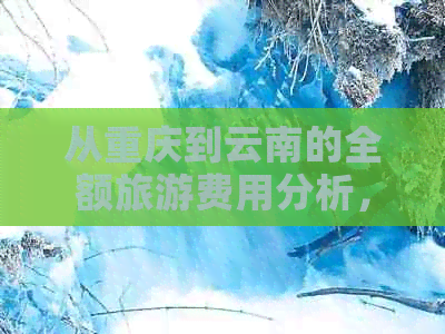 从重庆到云南的全额旅游费用分析，包括交通、住宿、餐饮等各方面消费