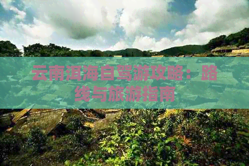 云南洱海自驾游攻略：路线与旅游指南