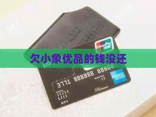 欠小象优品的钱没还