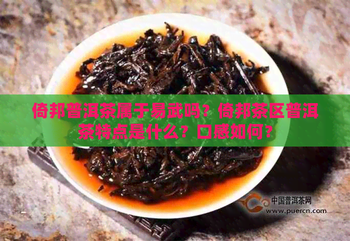 倚邦普洱茶属于易武吗？倚邦茶区普洱茶特点是什么？口感如何？