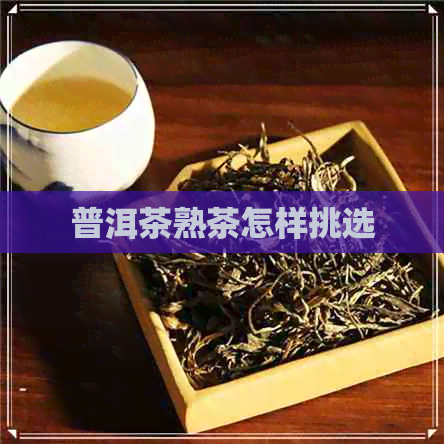 普洱茶熟茶怎样挑选