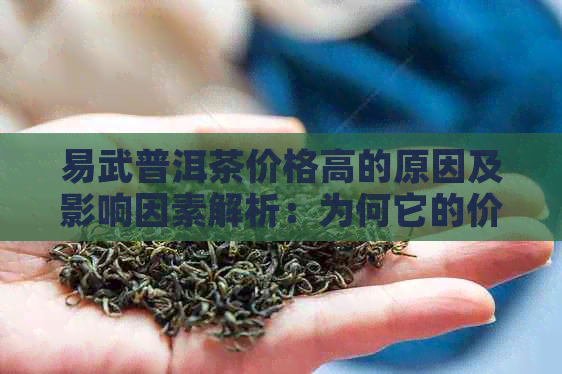 易武普洱茶价格高的原因及影响因素解析：为何它的价值如此之高？