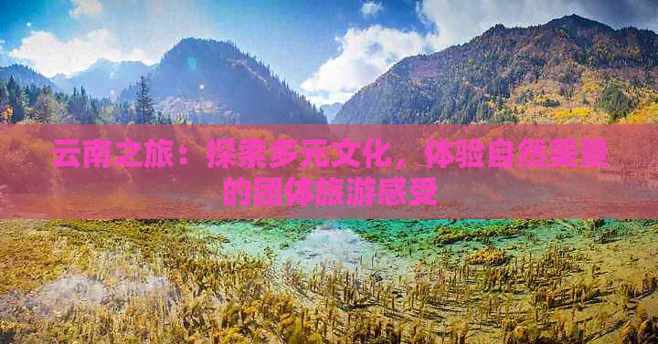 云南之旅：探索多元文化，体验自然美景的团体旅游感受