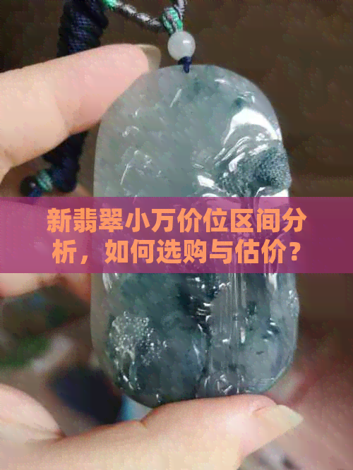 新翡翠小万价位区间分析，如何选购与估价？