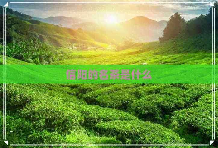 信阳的名茶是什么