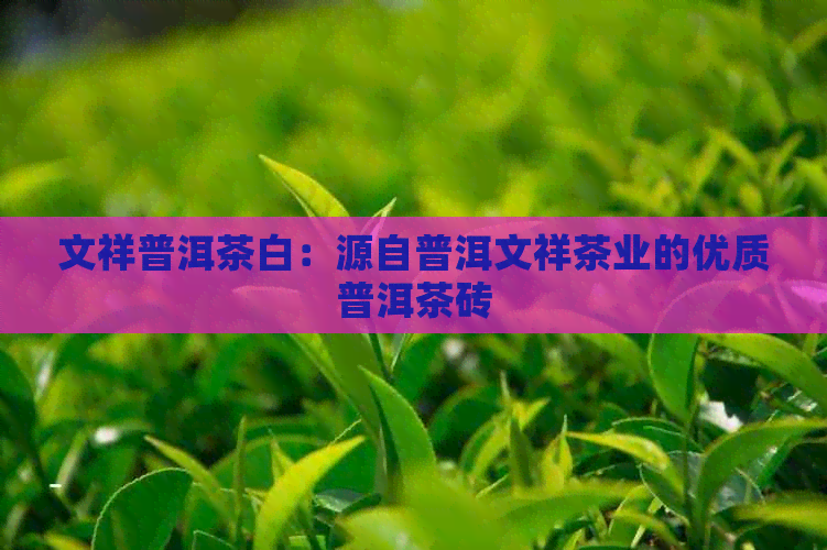 文祥普洱茶白：源自普洱文祥茶业的优质普洱茶砖