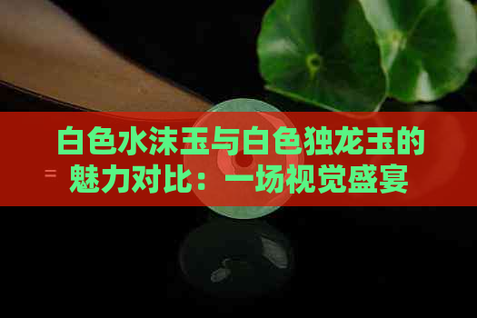 白色水沫玉与白色独龙玉的魅力对比：一场视觉盛宴