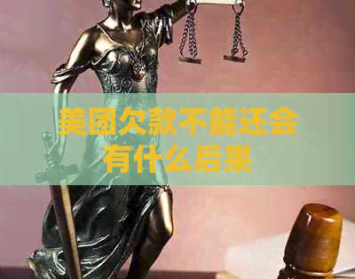 美团欠款不能还会有什么后果