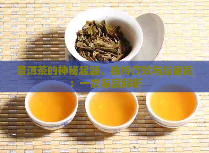 普洱茶的神秘起源、独特疗效与越品质：一次深度解析