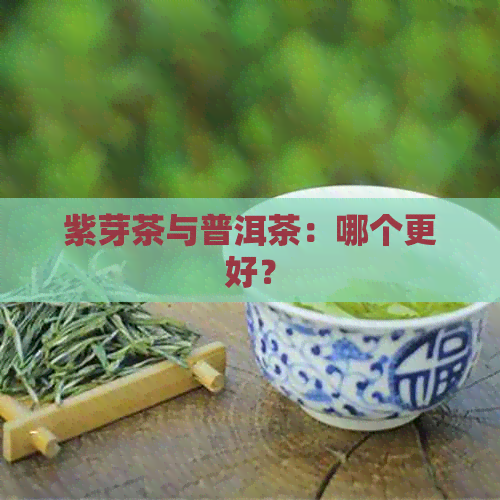 紫芽茶与普洱茶：哪个更好？