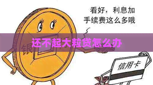 还不起大粒贷怎么办