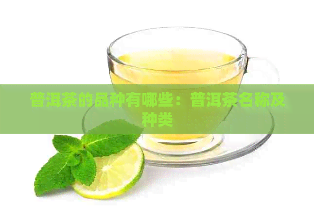 普洱茶的品种有哪些：普洱茶名称及种类