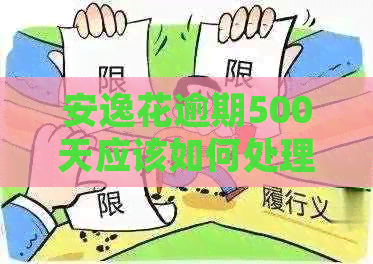 安逸花逾期500天应该如何处理