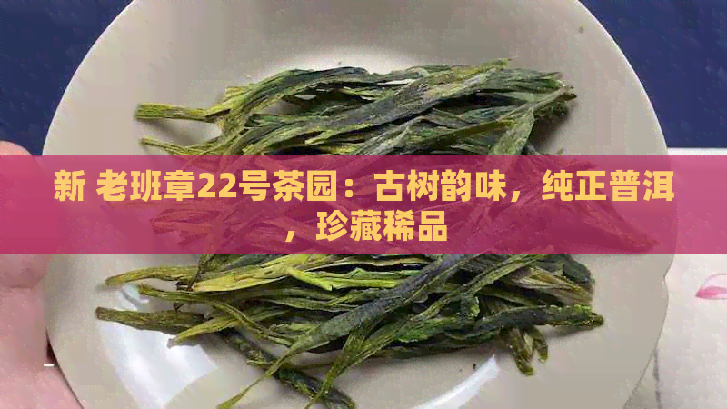 新 老班章22号茶园：古树韵味，纯正普洱，珍藏稀品