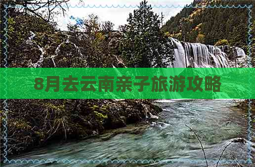 8月去云南亲子旅游攻略