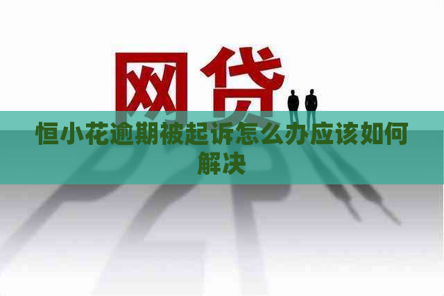 恒小花逾期被起诉怎么办应该如何解决