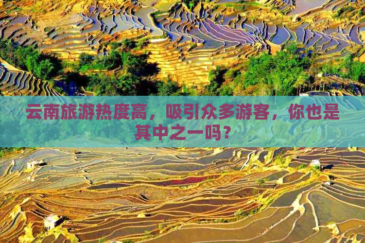 云南旅游热度高，吸引众多游客，你也是其中之一吗？