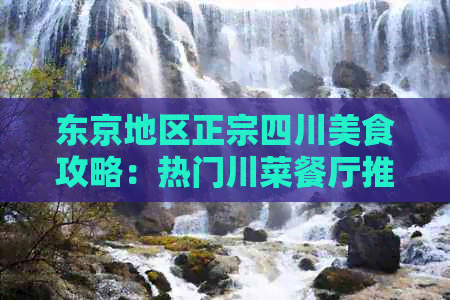 东京地区正宗四川美食攻略：热门川菜餐厅推荐与特色菜品一览