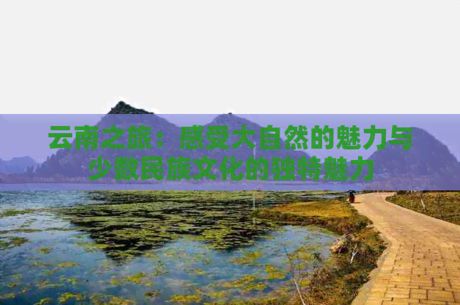 云南之旅：感受大自然的魅力与少数民族文化的独特魅力