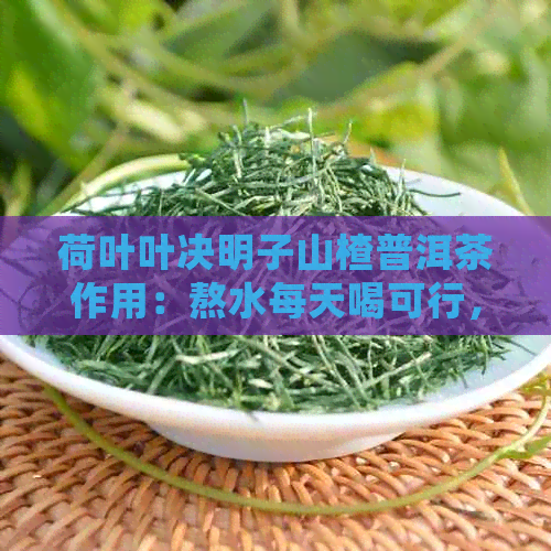 荷叶叶决明子山楂普洱茶作用：熬水每天喝可行，可降脂减肥、助消化。