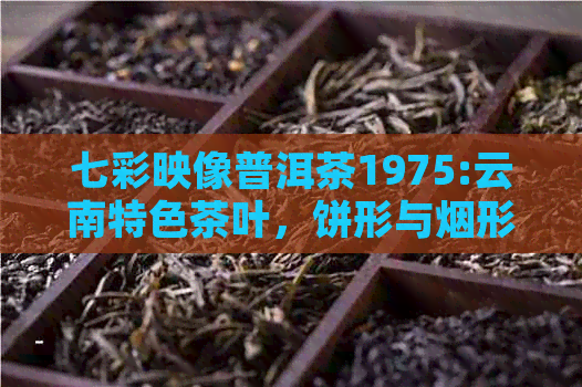 七彩映像普洱茶1975:云南特色茶叶，饼形与烟形皆美，价格公道