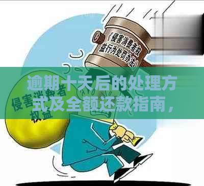 逾期十天后的处理方式及全额还款指南，解决用户担忧和疑问