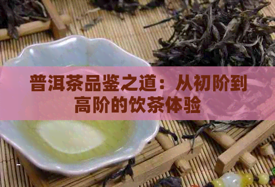 普洱茶品鉴之道：从初阶到高阶的饮茶体验