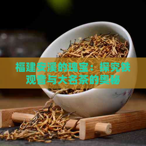 福建安溪的瑰宝：探究铁观音与大名茶的奥秘