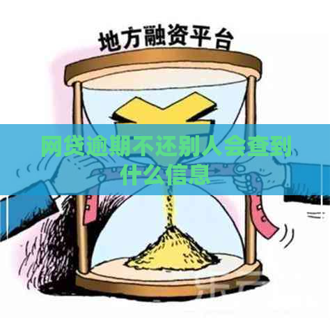 网贷逾期不还别人会查到什么信息