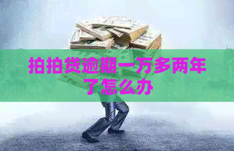 逾期一万多两年了怎么办