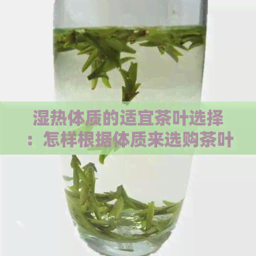 湿热体质的适宜茶叶选择：怎样根据体质来选购茶叶？