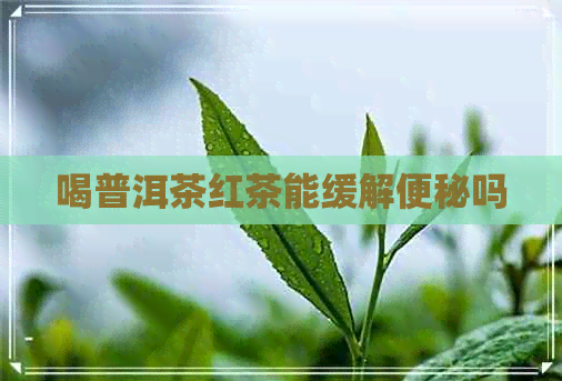 喝普洱茶红茶能缓解便秘吗